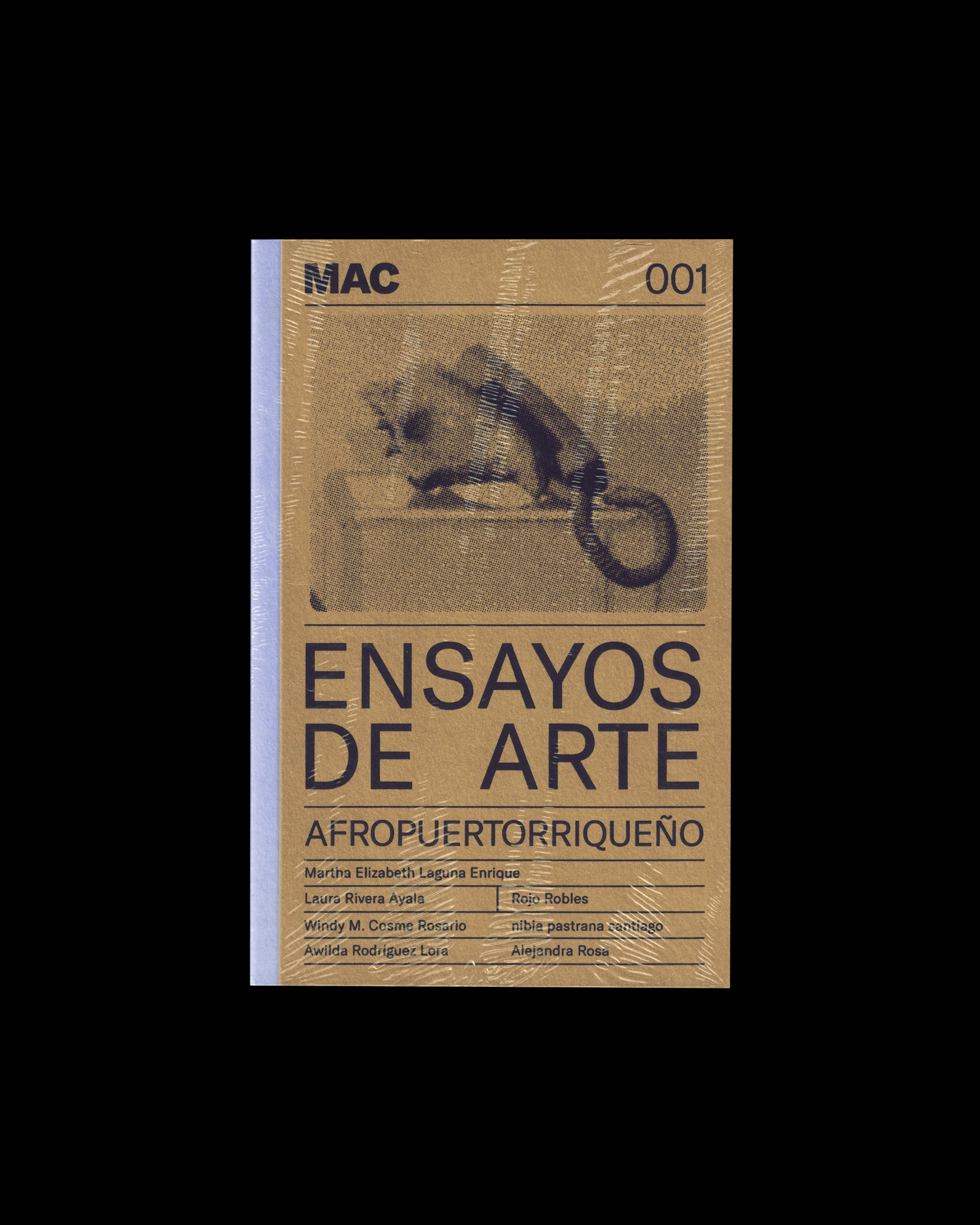 Ensayos de arte Afropuertorriqueños