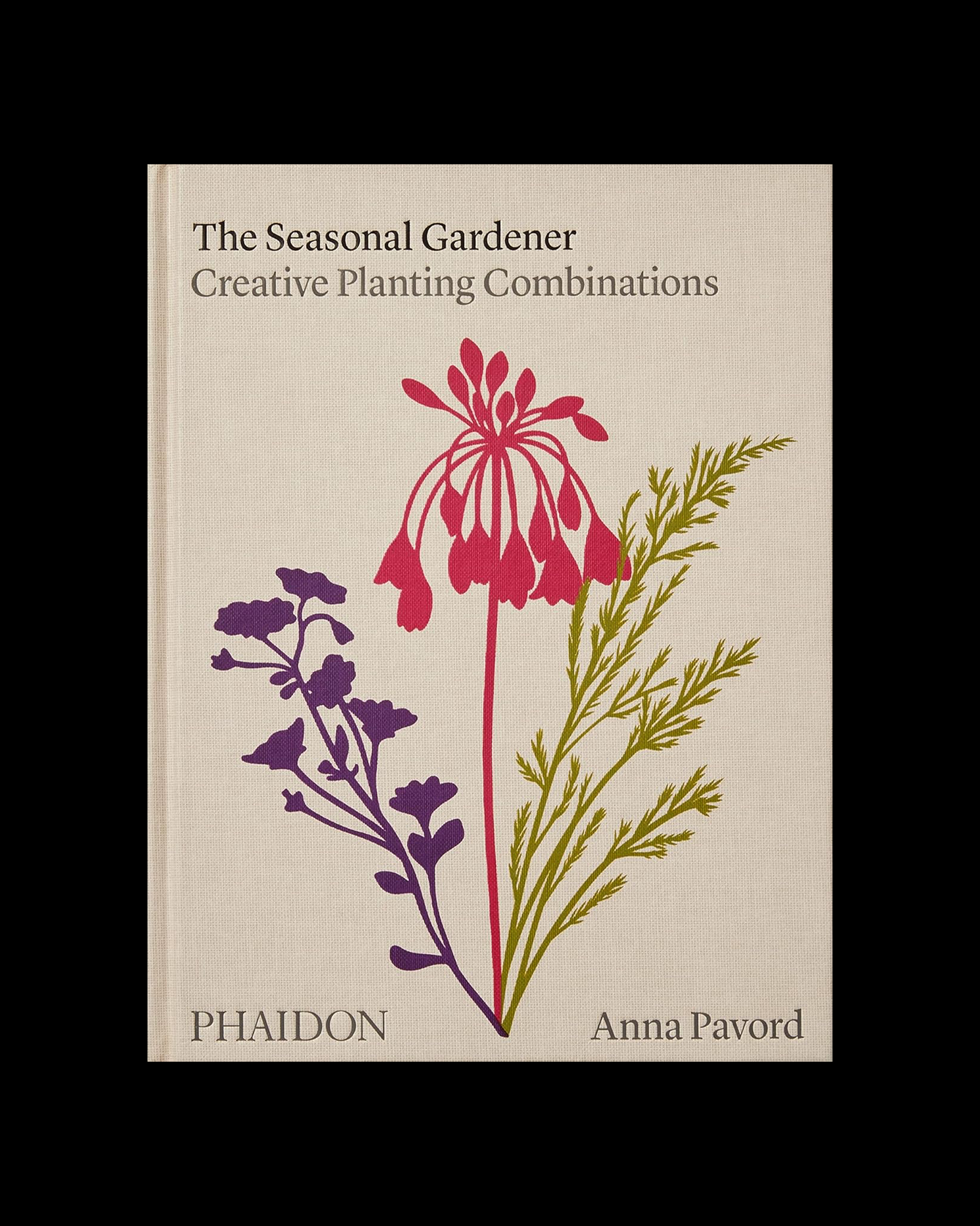The Seasonal Gardener: Creative Planting Combination