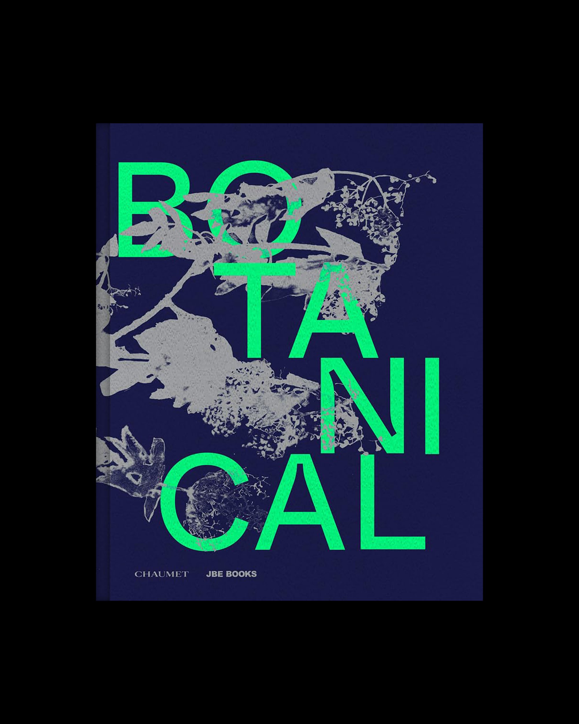 Botanical: Observing Beauty