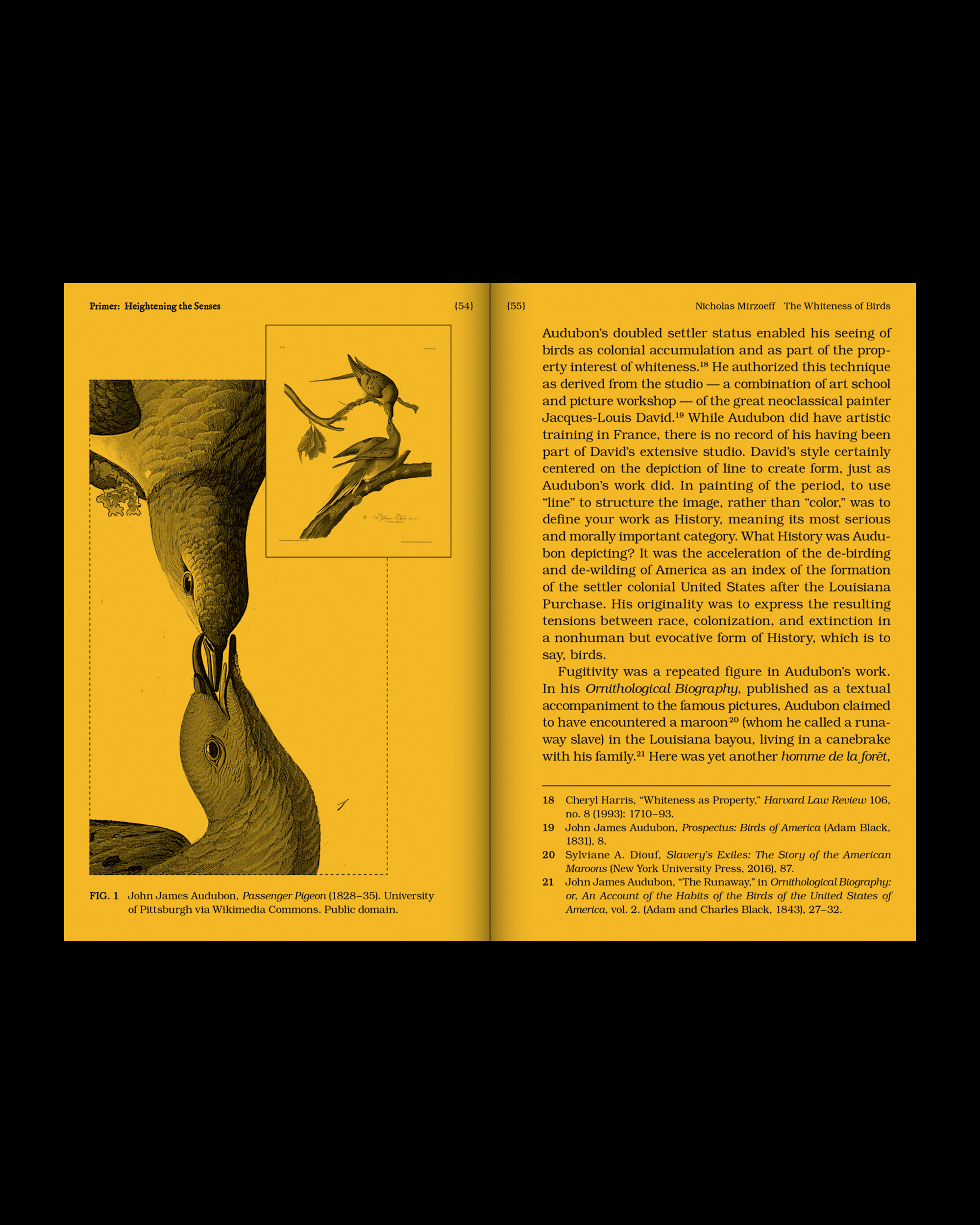 with a Bird, A Reader on Avian Kinship.