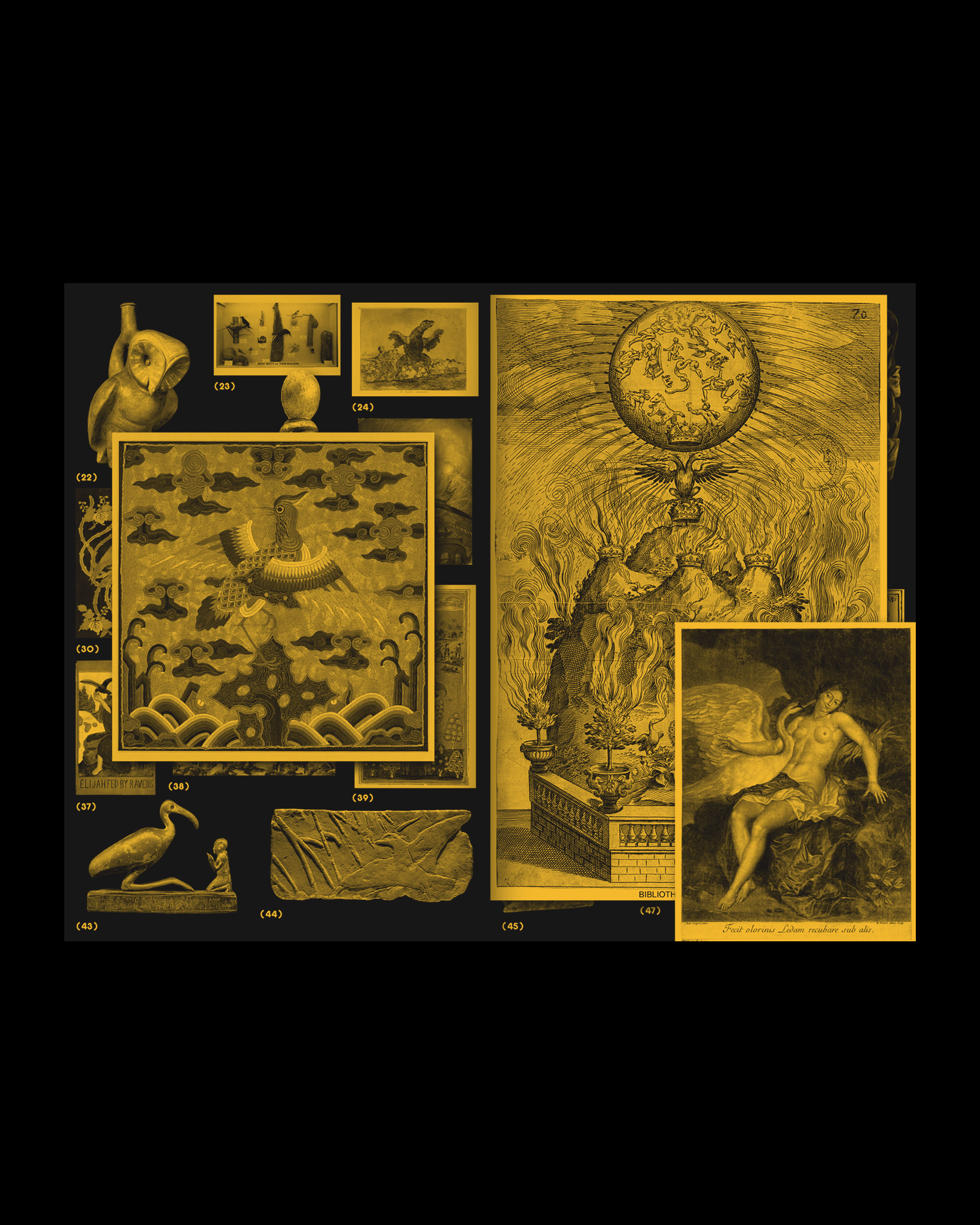 with a Bird, A Reader on Avian Kinship.