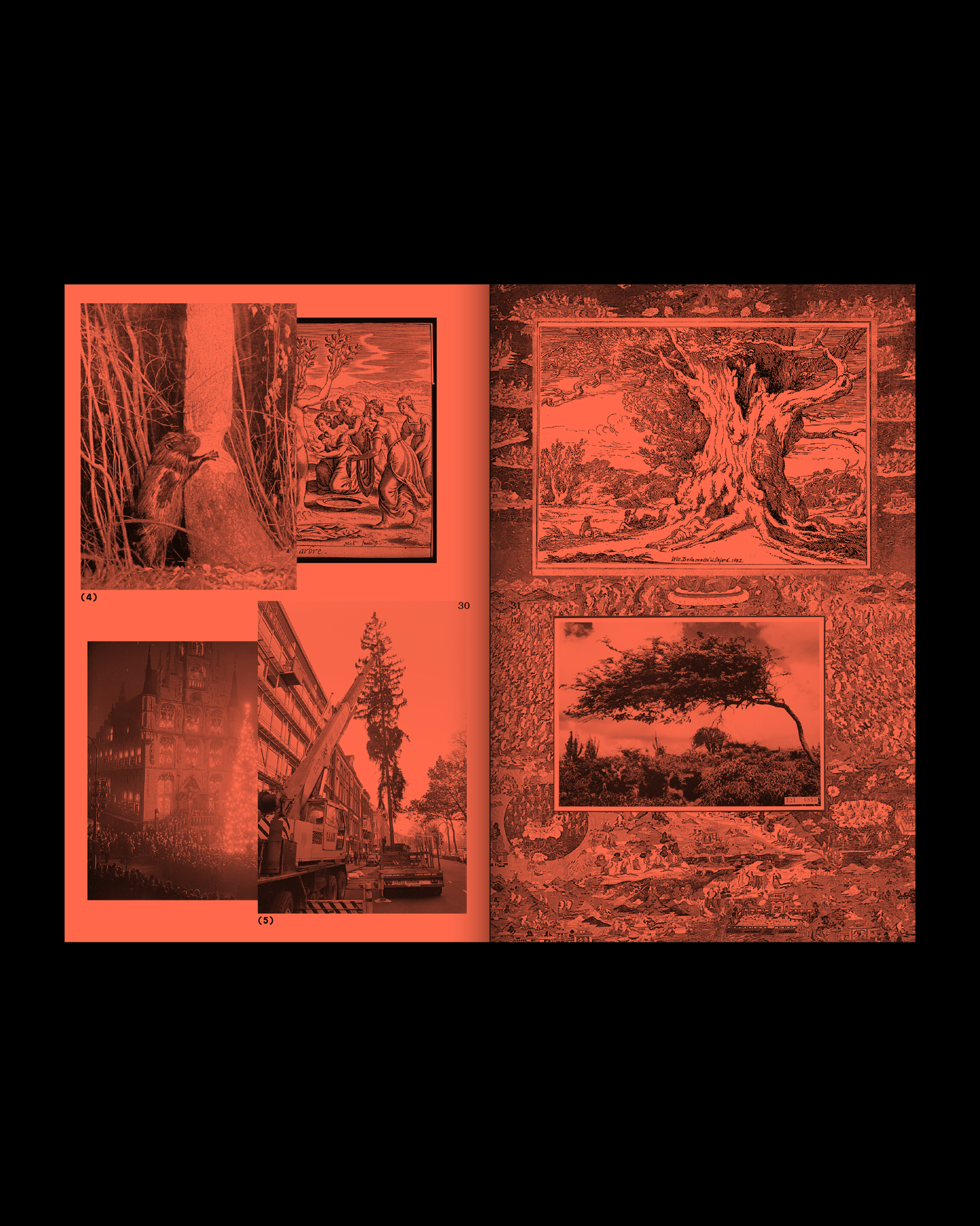 A Tree, A Reader on Arboreal Kinship