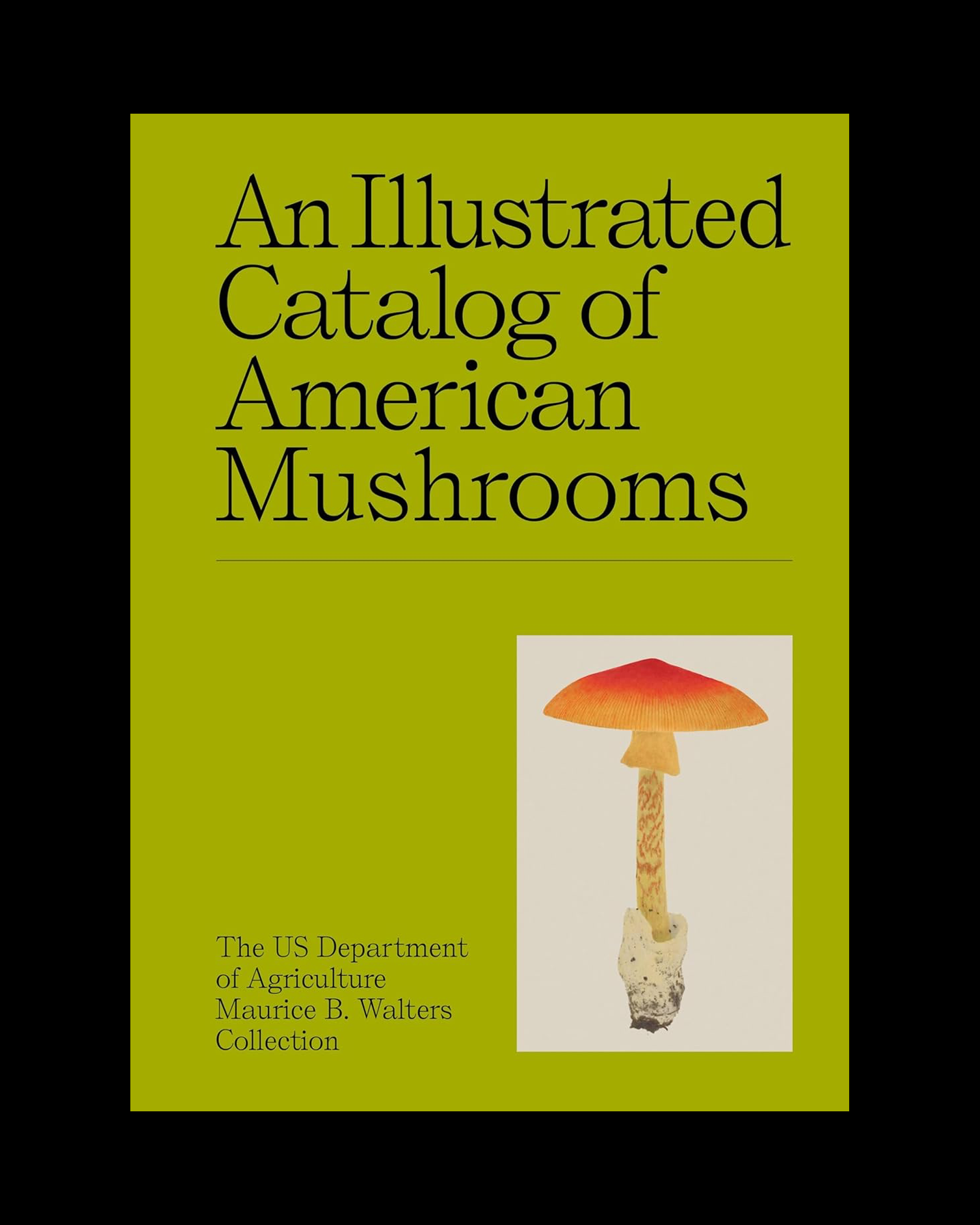 An Illustrated Catalog of American Mushrooms