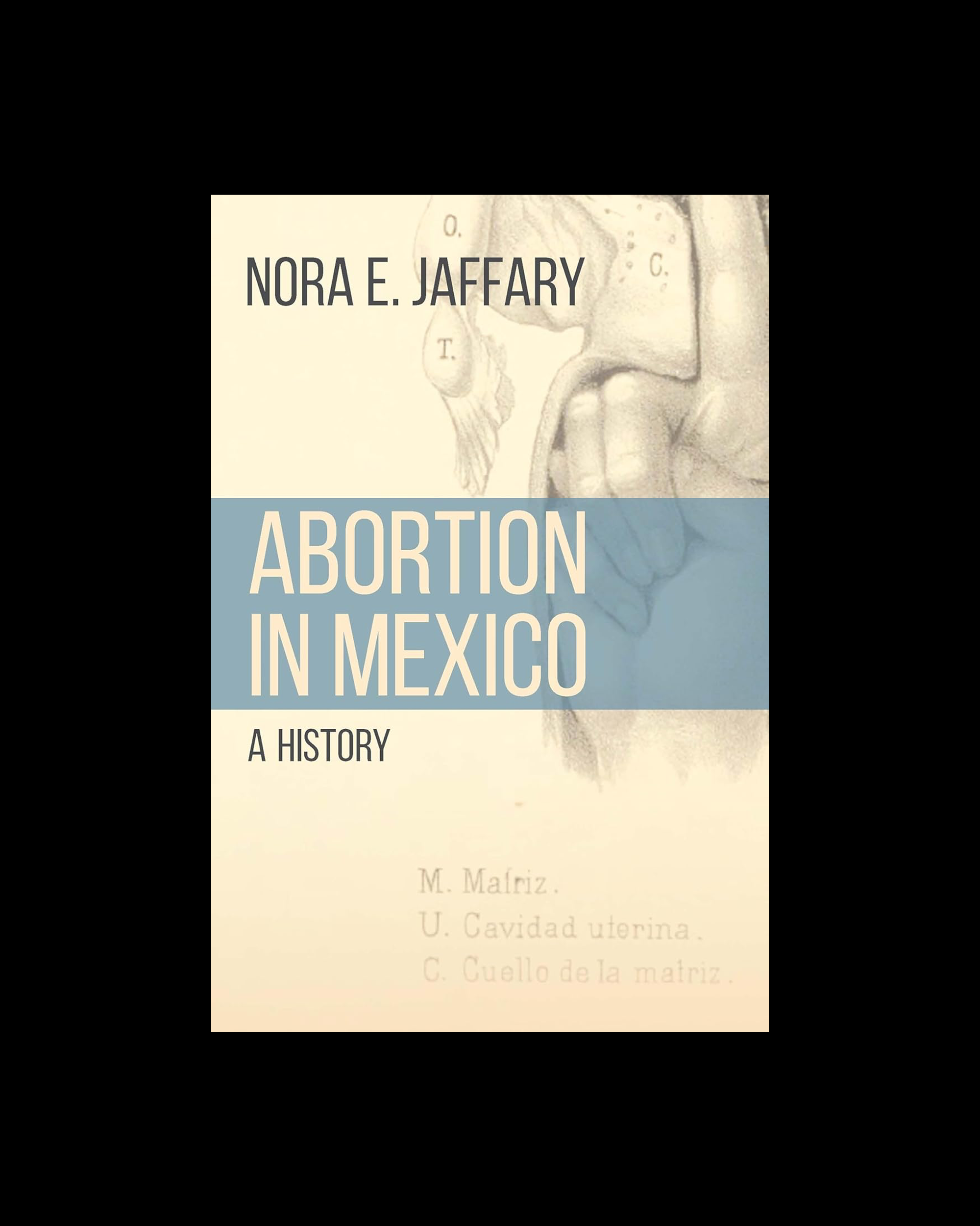Abortion in Mexico: A History