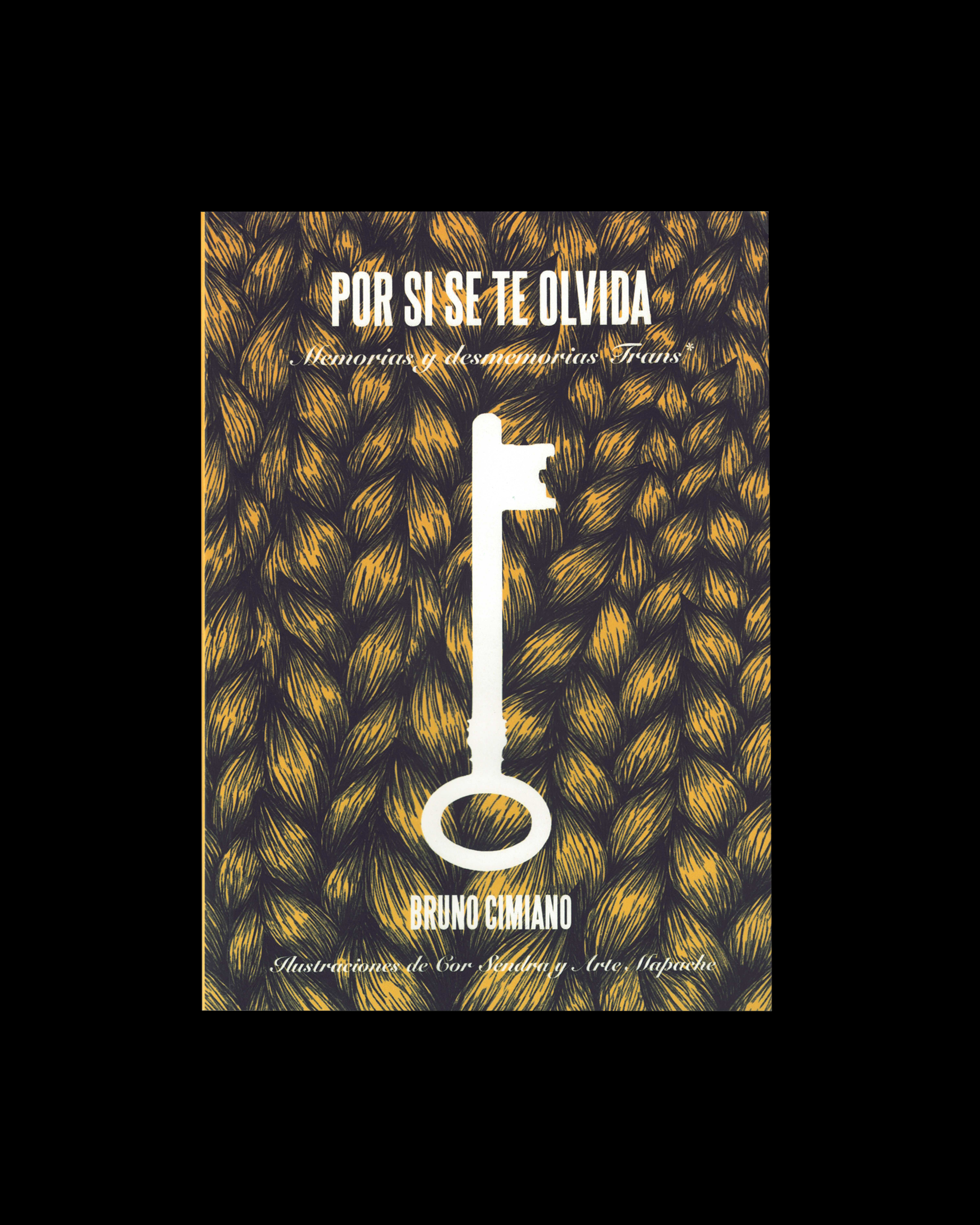 Por si se te olvida, Memorias y desmemorias trans