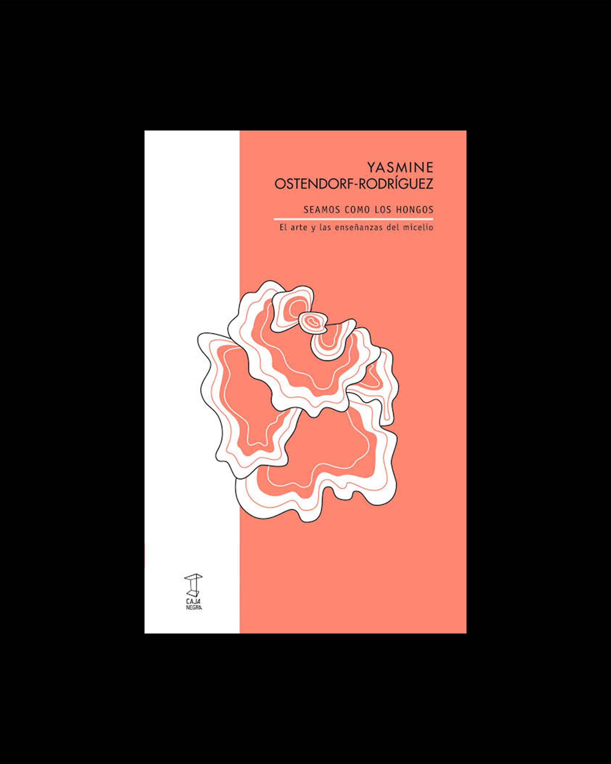 Seamos como los hongos. El arte y las enseñanzas del miscelio