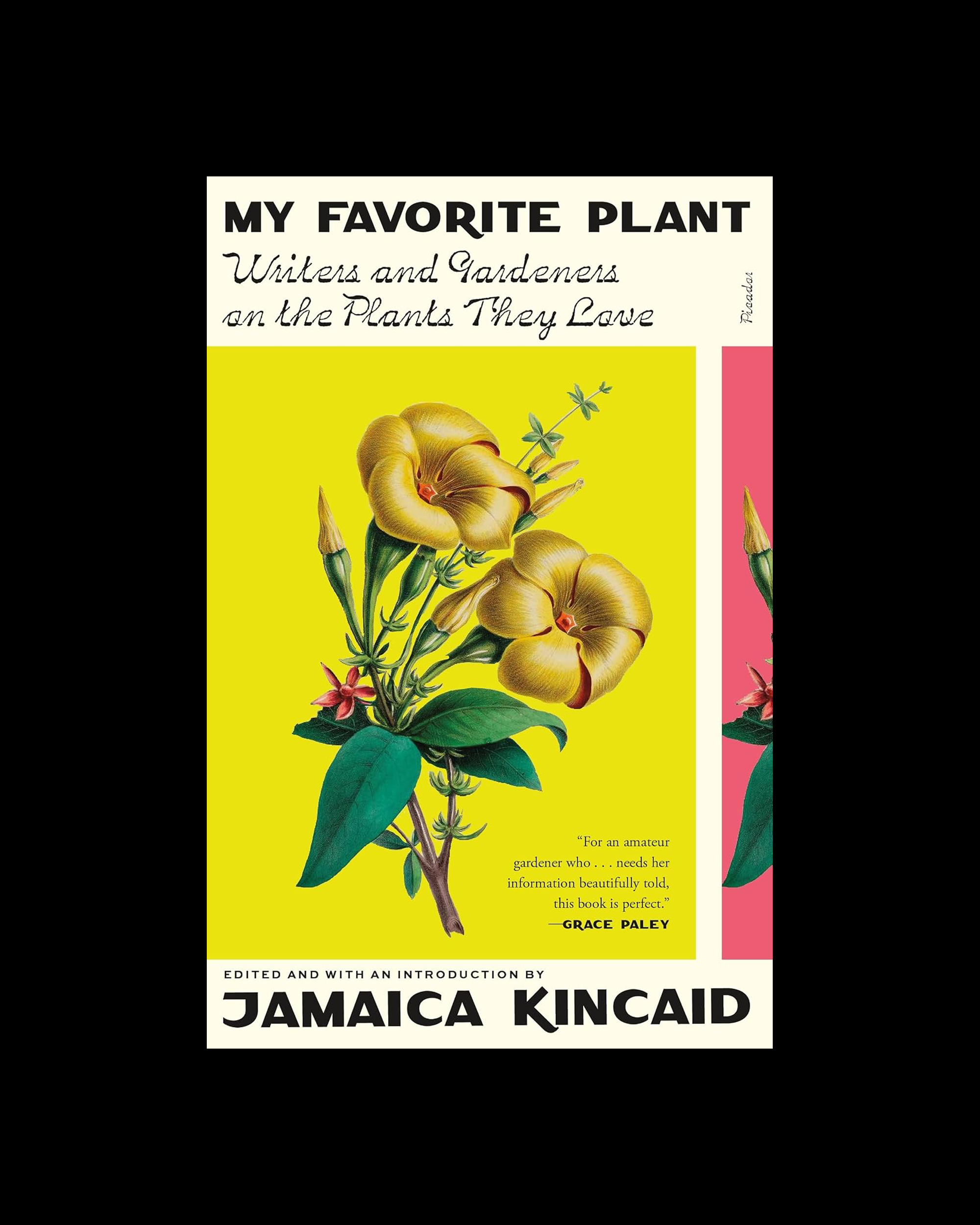 My Favorite Plant