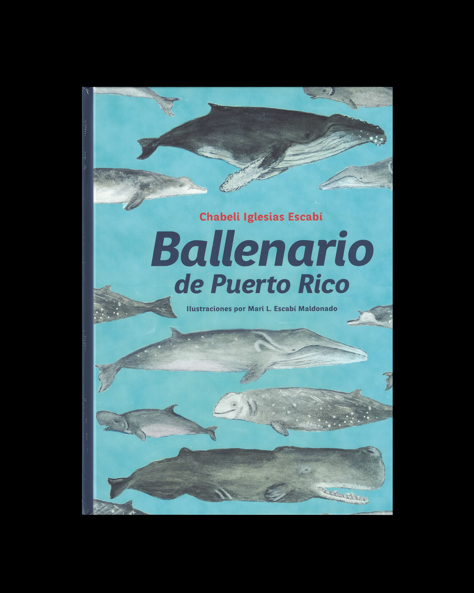 Ballenario de Puerto Rico