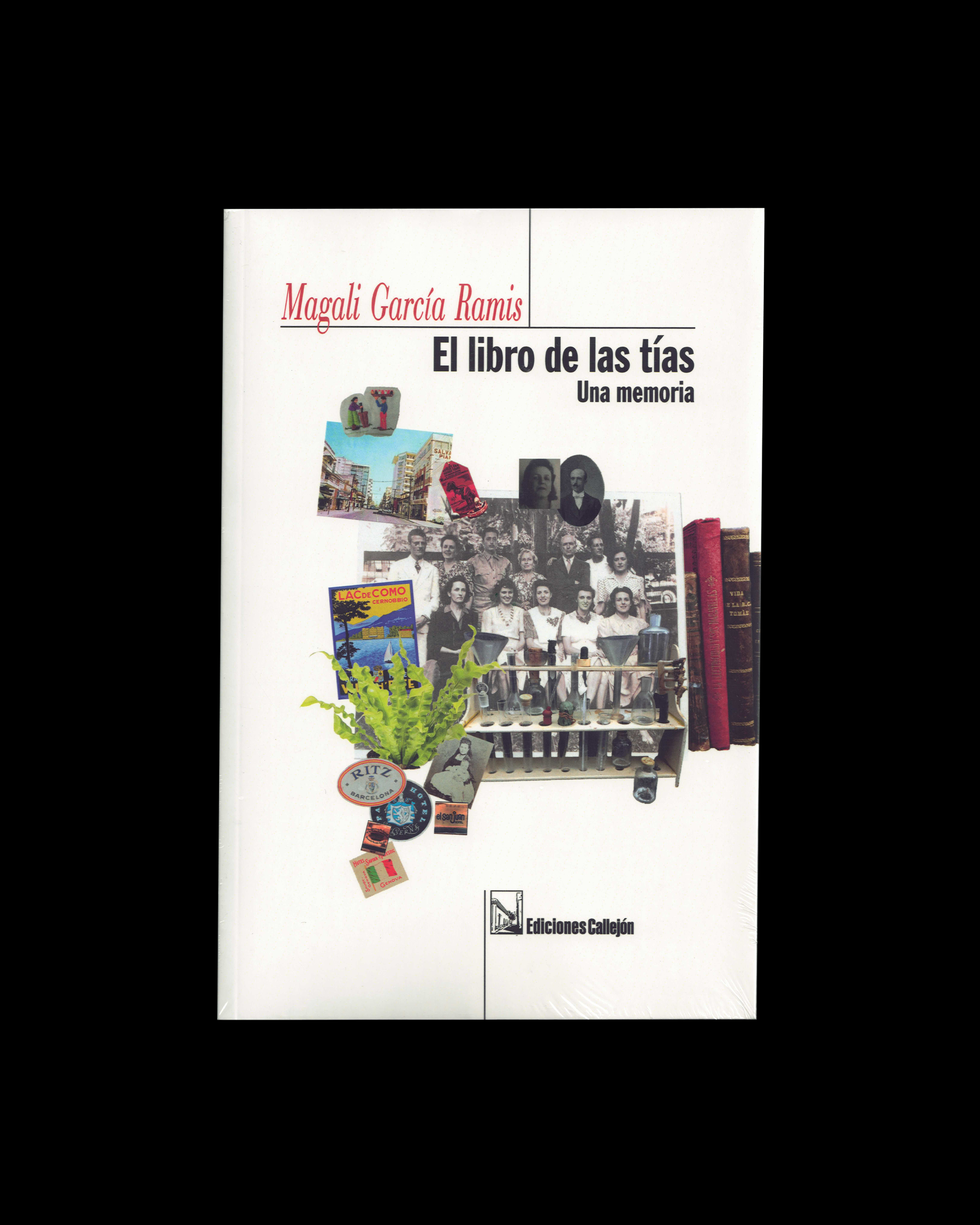 El libro de las tías. Una memoria.