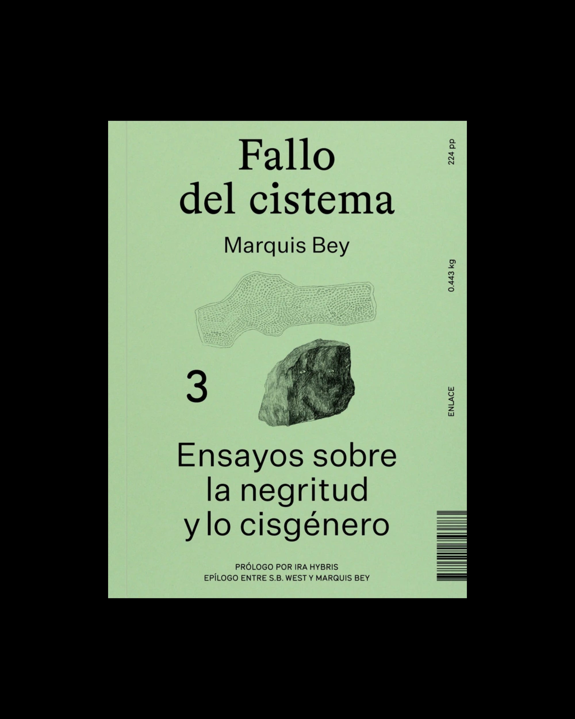 Fallo del cistema: Ensayos sobre la negritud y lo cisgénero
