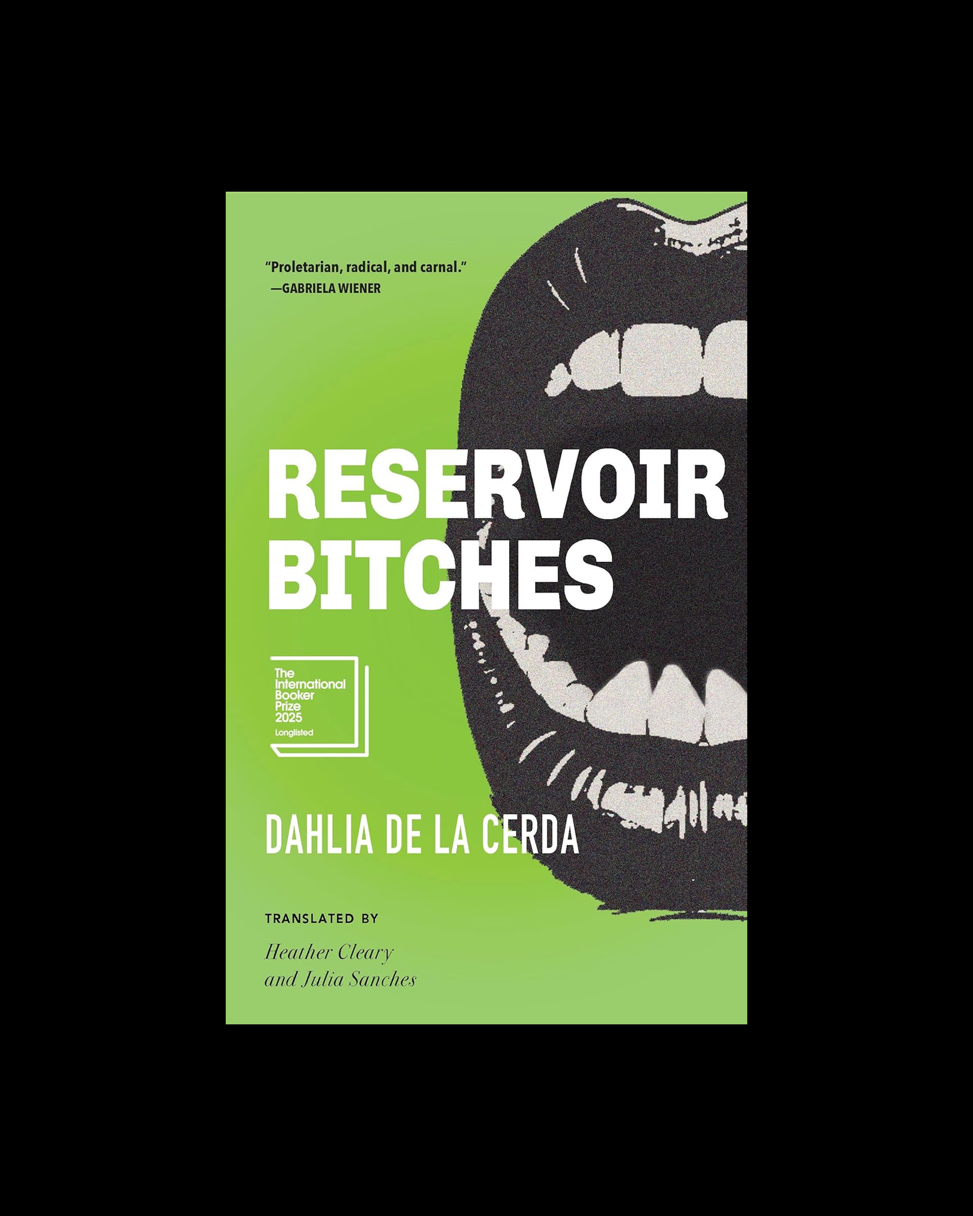 Reservoir Bitches: Stories