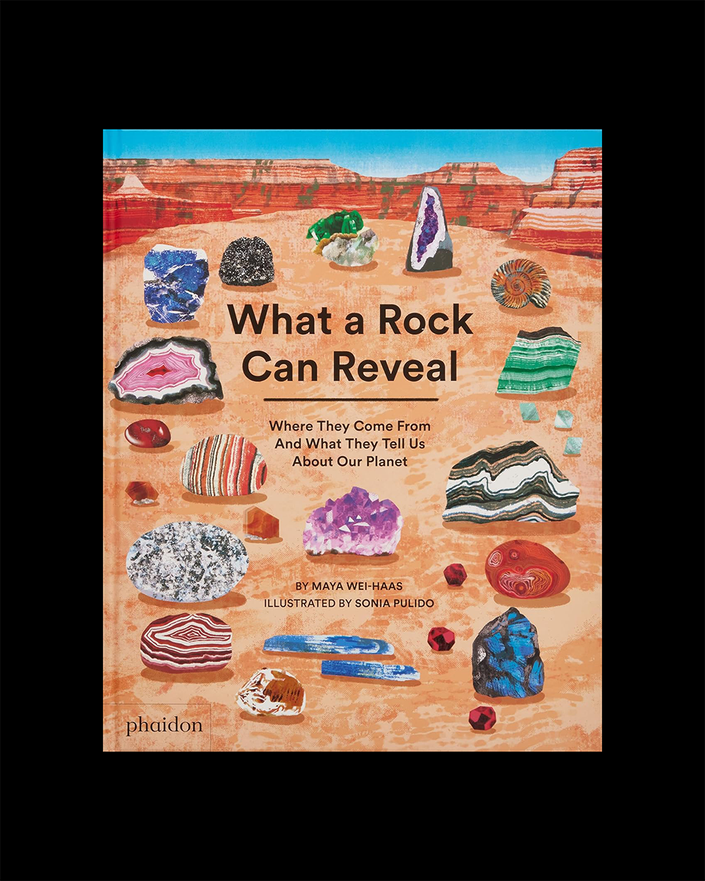 What a Rock Can Reveal: Where They Come From And What They Tell Us About Our Planet