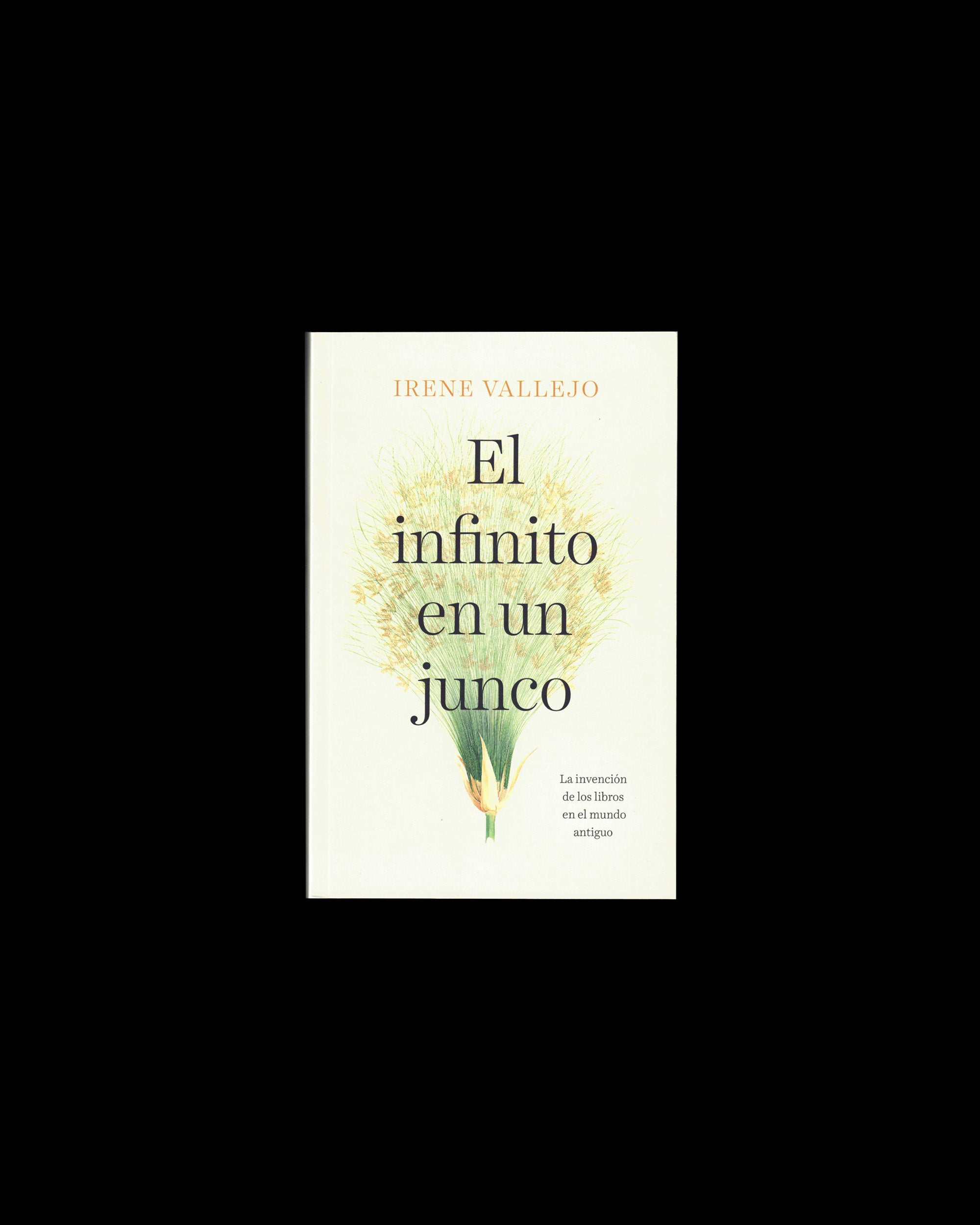 El infinito en un junco