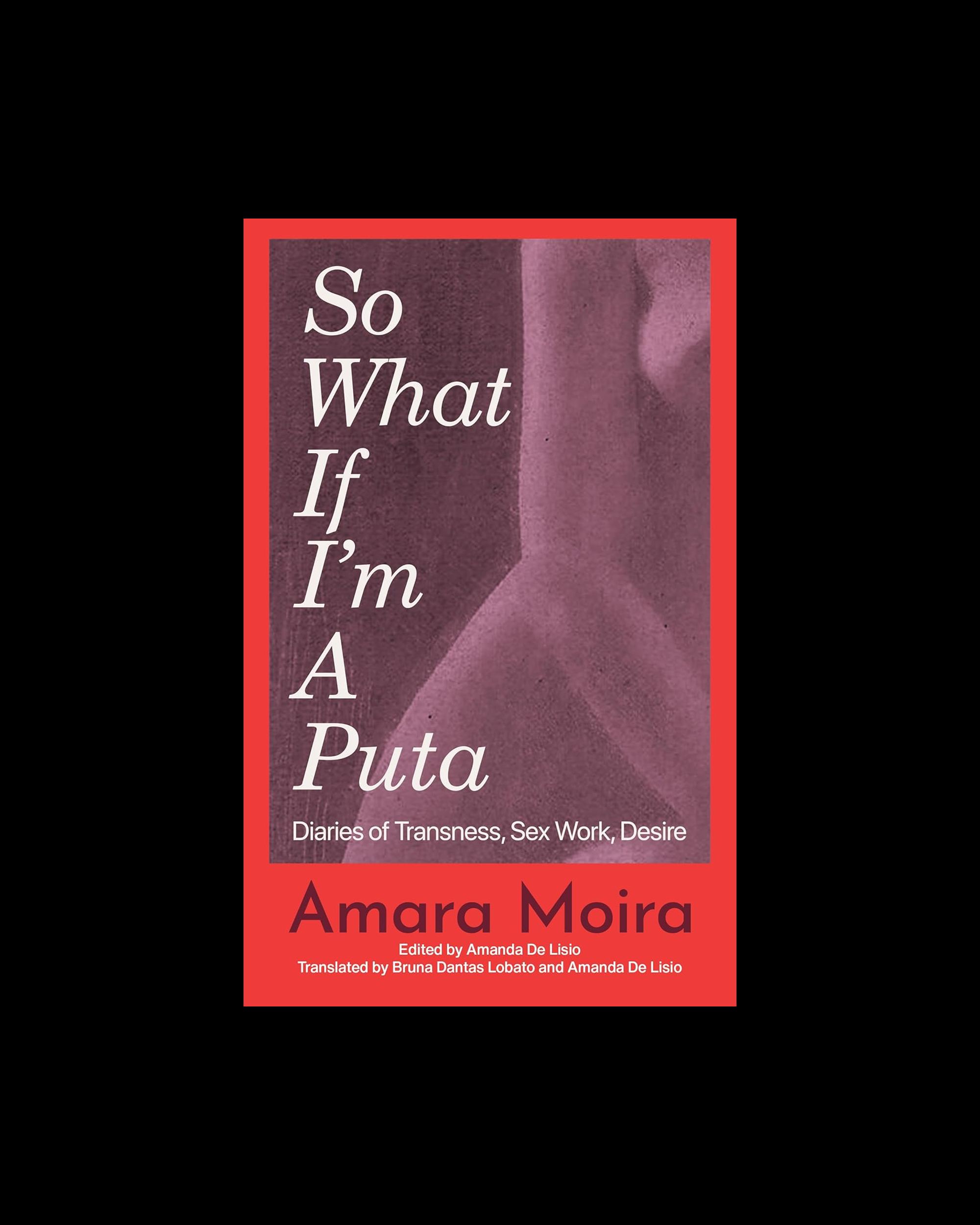 So What If I'm a Puta: Diaries of Transness, Sex Work, Desire